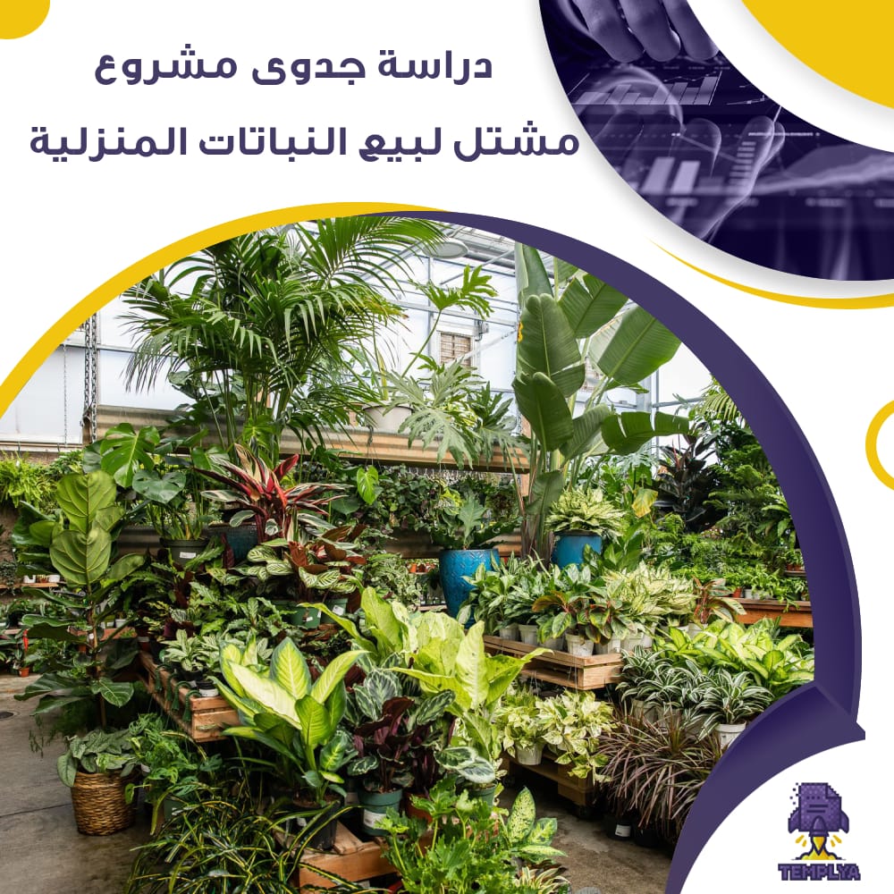 دراسة جدوى عن مشتل لبيع النباتات المنزلية (جاهز PDF -DOC)