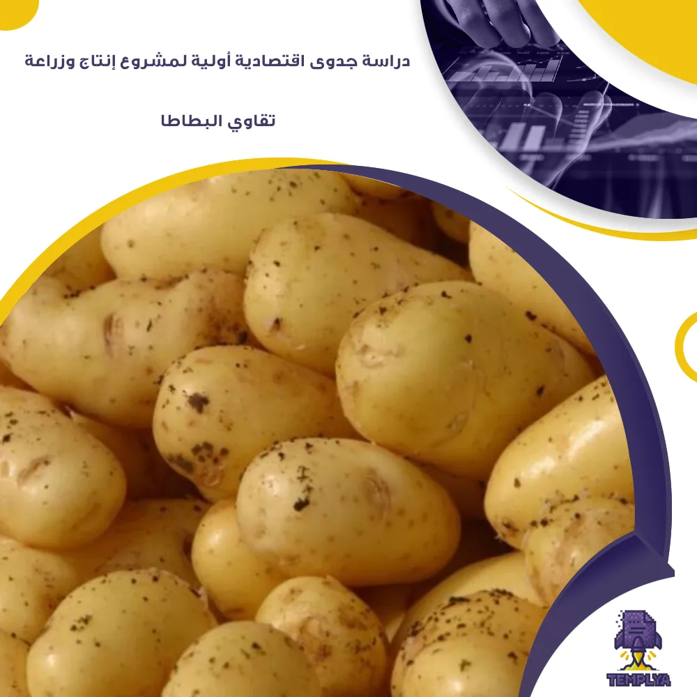 دراسة جدوى اقتصادية أولية لمشروع إنتاج وزراعة تقاوي البطاطا (جاهز PDF -DOC)