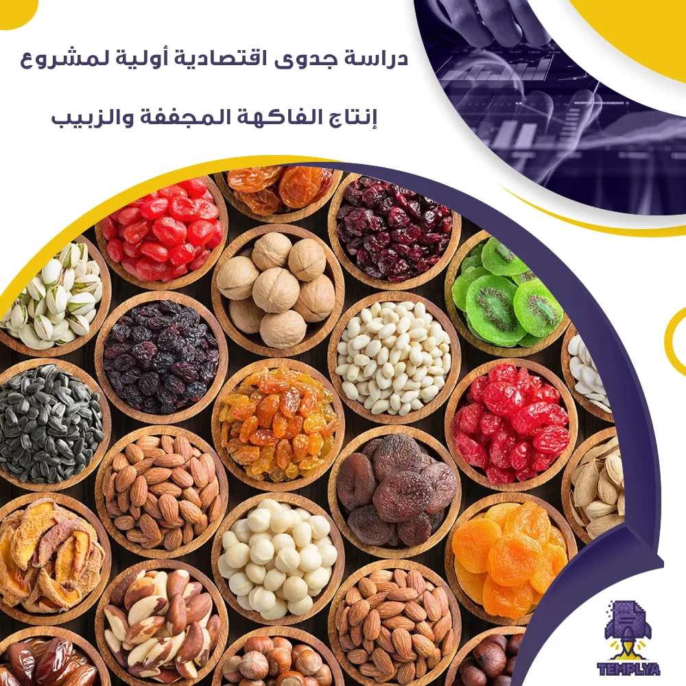 دراسة جدوى اقتصادية أولية لمشروع إنتاج الفاكهة المجففة والزبيب (جاهز PDF -DOC)