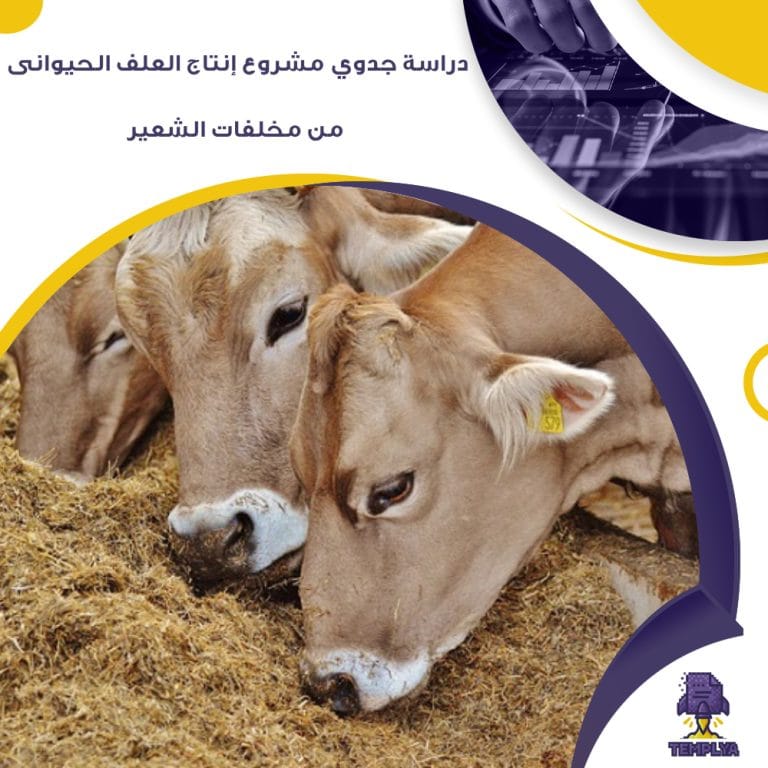 دراسة جدوي مشروع إنتاج العلف الحيوانى من مخلفات الشعير ( جاهز PDF – DOC )