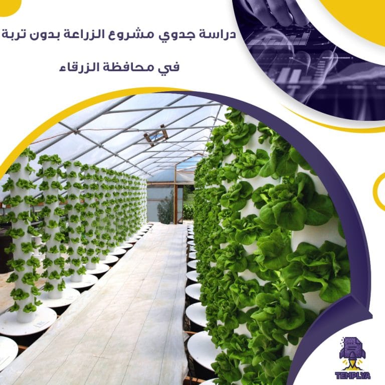 دراسة جدوي مشروع الزراعة بدون تربة في محافظة الزرقاء ( جاهز PDF – DOC )