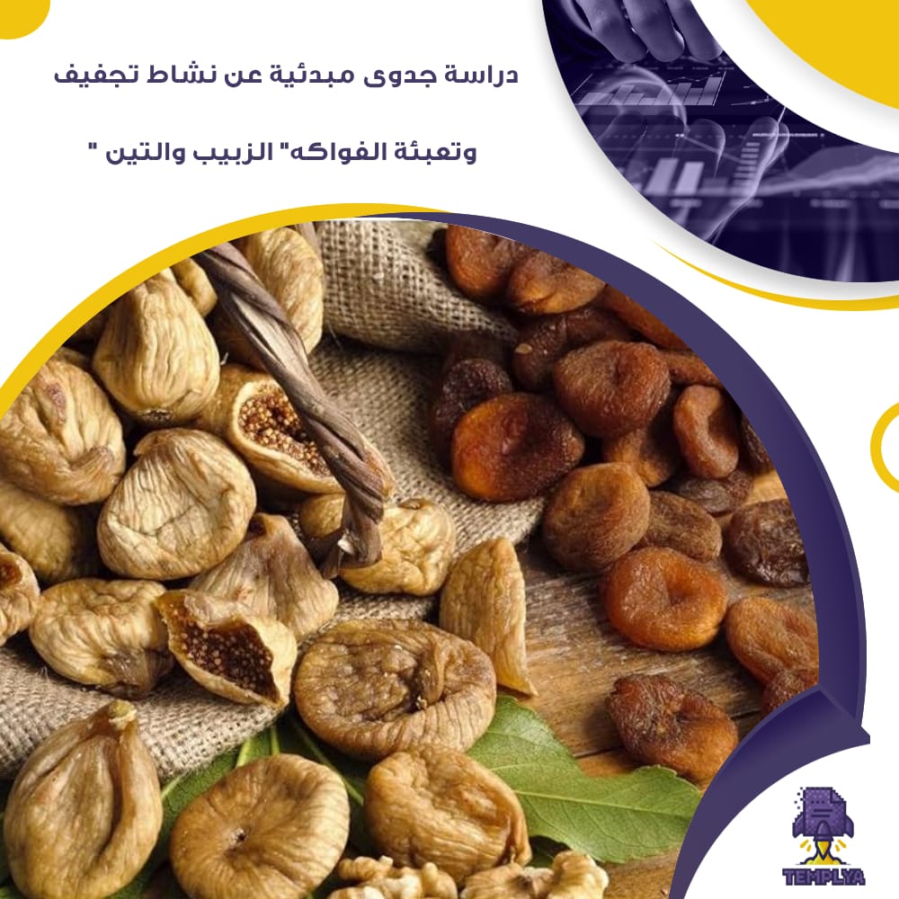 دراسة جدوى مبدئية عن نشاط تجفيف وتعبئة الفواكه "الزبيب والتين" (جاهز PDF -DOC)