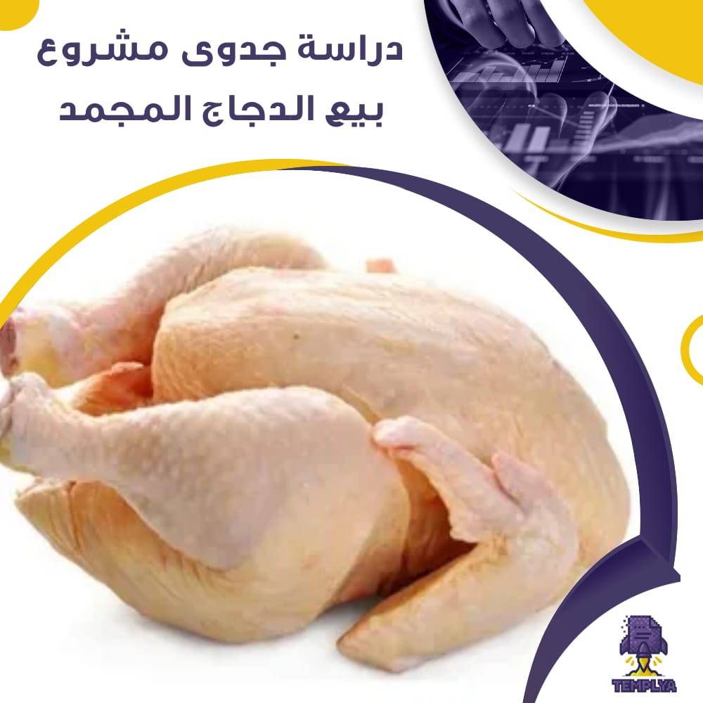 دراسة جدوى عن بيع الدجاج المجمد (جاهز PDF -DOC)
