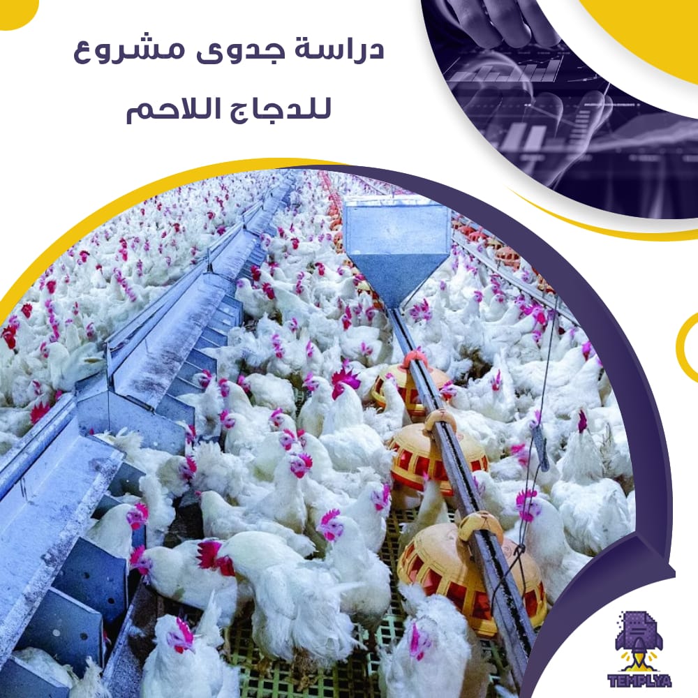 دراسة جدوى دراسة جدوي للدجاج اللاحم (جاهز PDF -DOC) دراسة جدوى دراسة جدوي للدجاج اللاحم (جاهز PDF -DOC)