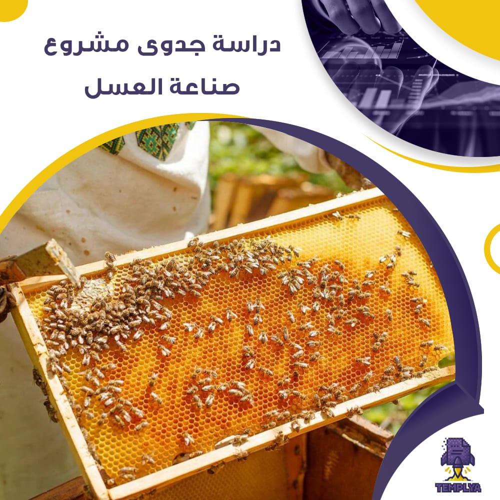 دراسة جدوى مشروع عن صناعة العسل (جاهز PDF -DOC)
