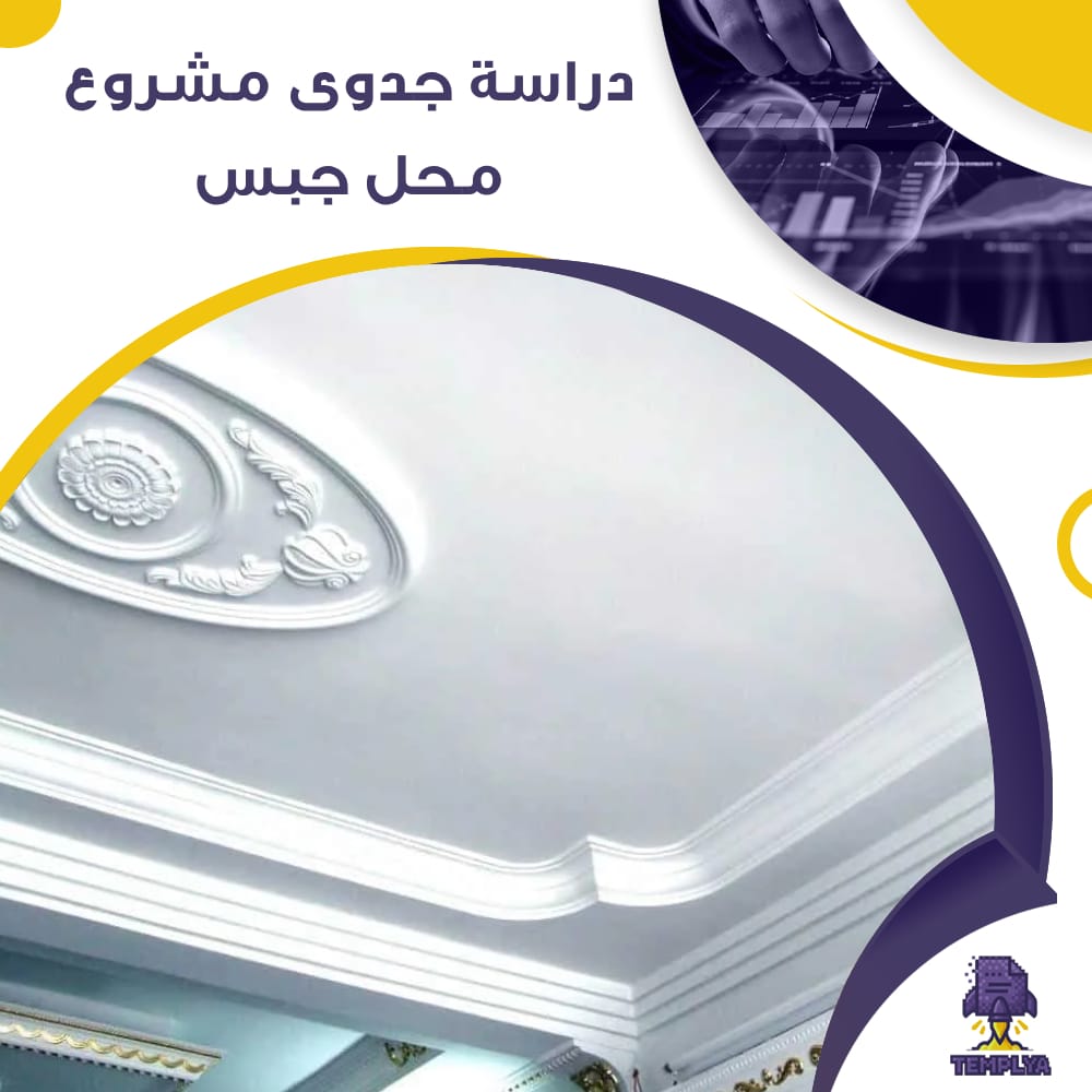 دراسة جدوى عن مشروع محل جبس (جاهز PDF -DOC)