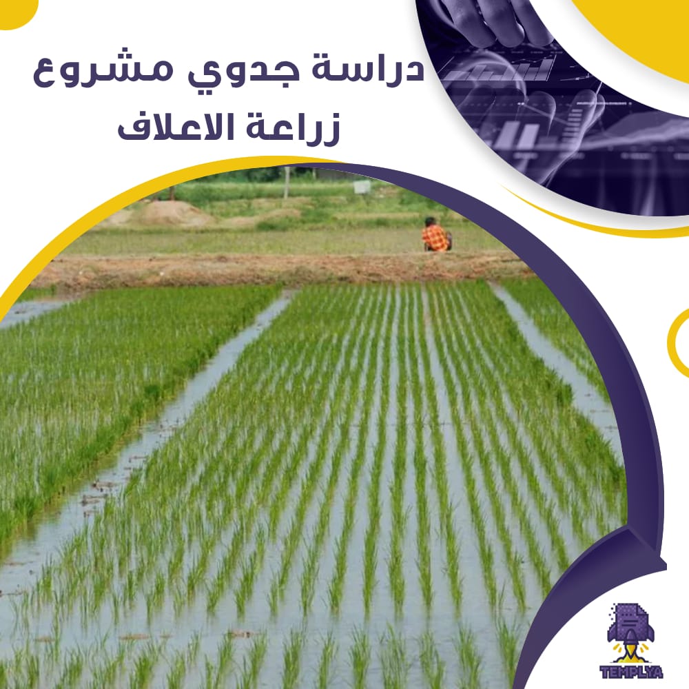 دراسة جدوى عن مشروع زراعة الاعلاف (جاهز PDF -DOC)