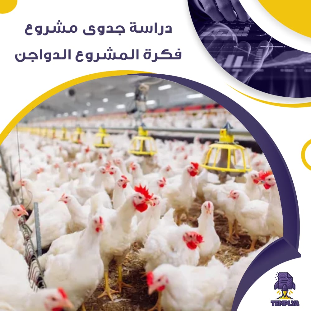 دراسة جدوى عن مشروع فكرة المشروع الدواجن او انتاج صيصان الدجاج (جاهز PDF -DOC) دراسة جدوى عن مشروع فكرة المشروع الدواجن او انتاج صيصان الدجاج (جاهز PDF -DOC)