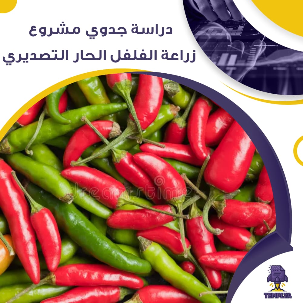 دراسة جدوى اقتصادية أولية لمشروع زراعة الفلفل الحار (جاهز PDF -DOC)