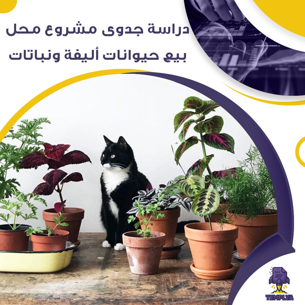 دراسة جدوى عن محل بيع حيوانات أليفة ونباتات (جاهز PDF -DOC)