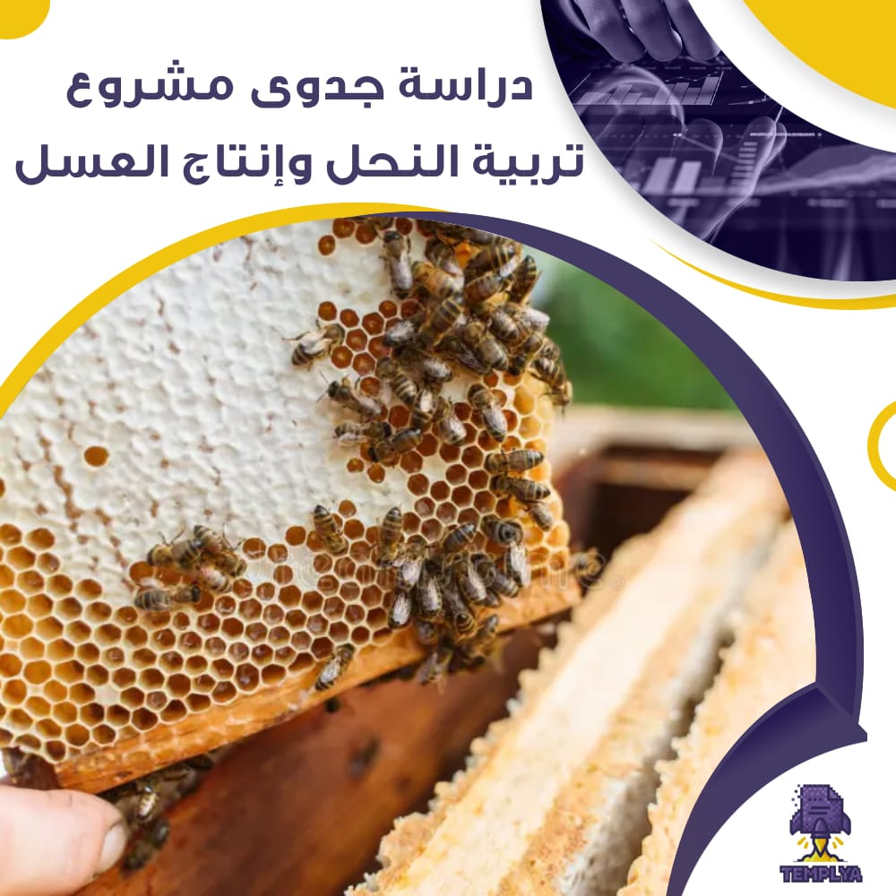 دراسة جدوى عن مشروع مزرعة تربية نحل (جاهز PDF -DOC)