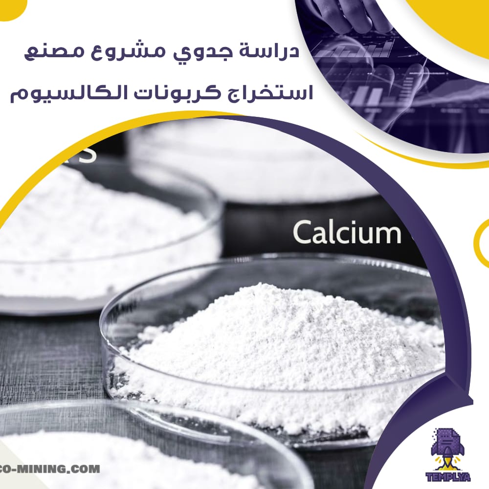 دراسة جدوى عن مصنع استخراج كربونات الكالسيوم (جاهز PDF -DOC)