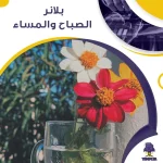 بلانر الصباح والمساء