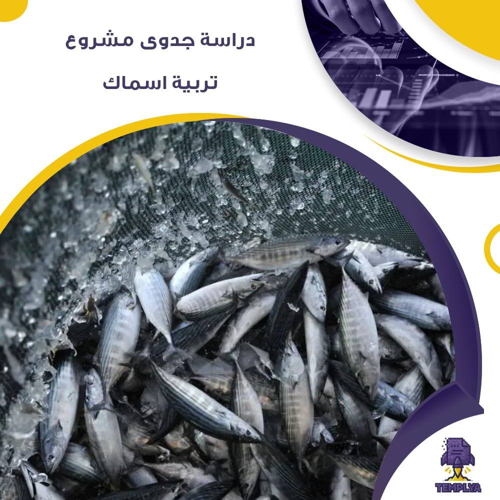 دراسة جدوى عن مشروع تربية الأسماك (جاهز PDF -DOC) دراسة جدوى عن مشروع تربية الأسماك (جاهز PDF -DOC)