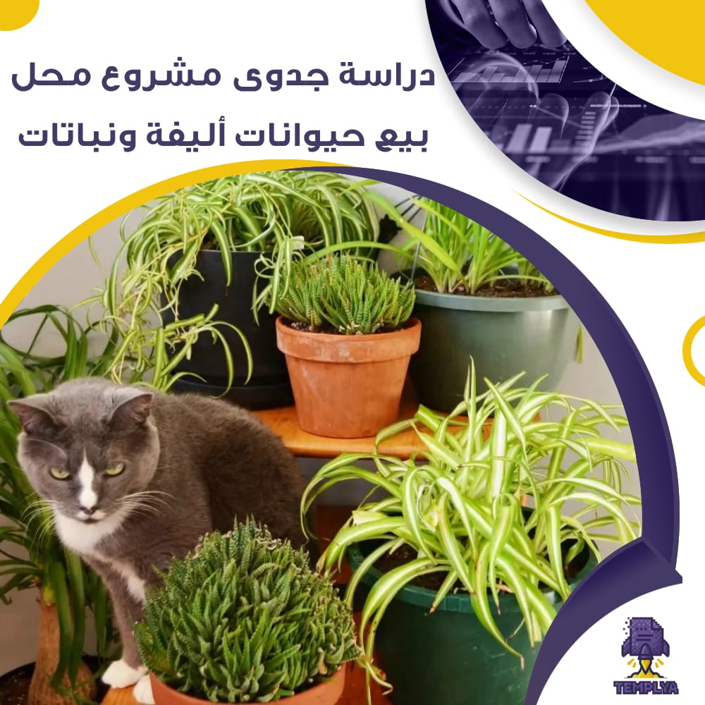 دراسة جدوى عن مشروع محل بيع حيوانات أليفة ونباتات (جاهز PDF -DOC)